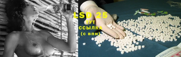 PSILOCYBIN Лиски
