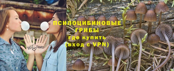 PSILOCYBIN Лиски