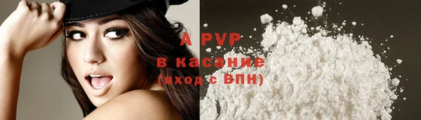 PSILOCYBIN Лиски