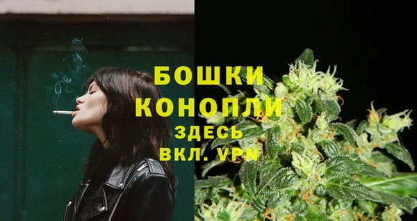 PSILOCYBIN Лиски