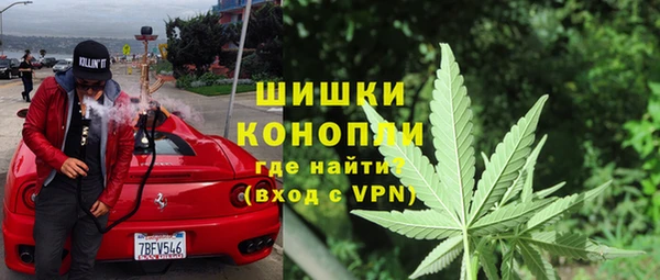 PSILOCYBIN Лиски