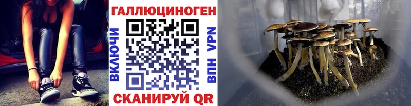 Галлюциногенные грибы Cubensis  где купить наркоту  Петровск 