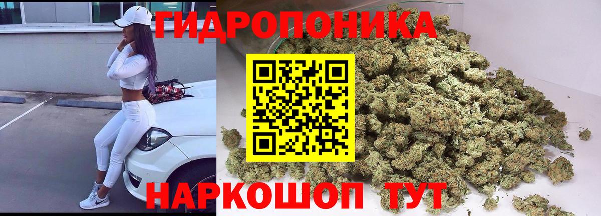 Петровск  Шишки марихуана AK-47  МАРИХУАНА семена  Каннабис сатива  Вход с VPN  Шишки марихуана White Widow 